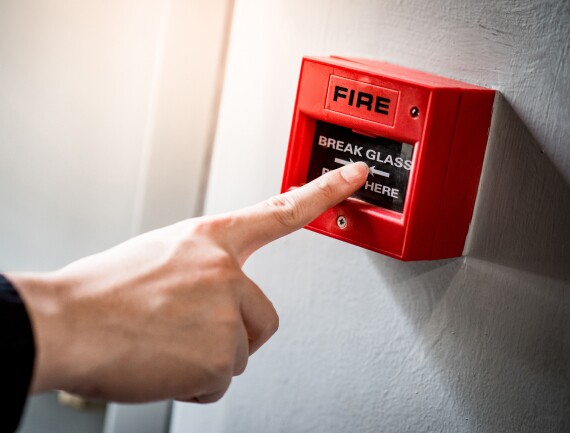 FIREX AdobeStock
