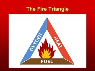 Do You Know the Basics of Bushfire Triangle?